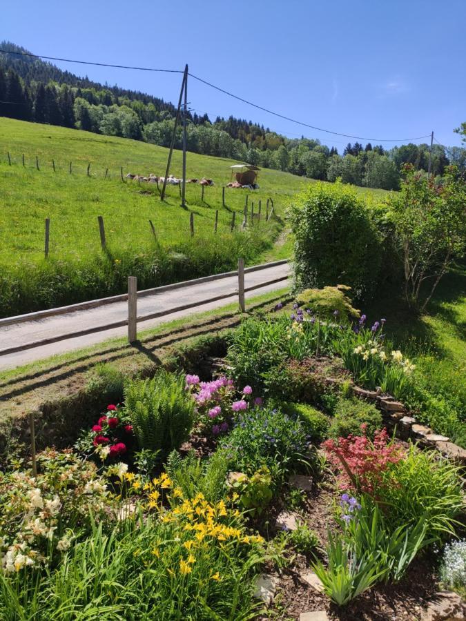Maison Le Rozet Les Gras Eksteriør billede